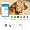 PETKIT P2 Smart Activity Monitoring Pet Tracker - Gold
