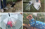 Umbrella, Dog Umbrella with Leash Snow-Proof Rain Proof Windproof Umbrella - Transparent