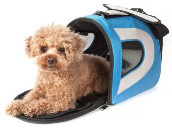 Airline Approved Folding Zippered Sporty Mesh Pet Carrier (Color: Blue, Size: Large)