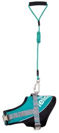 Bark-Mudder Easy Tension 3M Reflective Endurance 2-in-1 Adjustable Dog Leash and Harness (Color: Teal, Size: Small)
