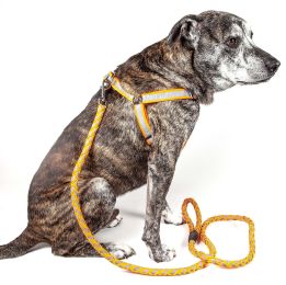 Reflective Stitched Easy Tension Adjustable 2-in-1 Dog Leash and Harness (Color: Orange, Size: Small)