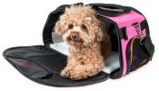 Airline Approved Sky-Max Modern Collapsible Pet Carrier