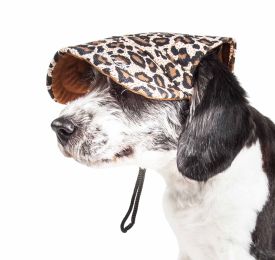 Cheetah Bonita' Cheetah Patterned Uv Protectant Adjustable Fashion Dog Hat Cap (Size: Medium)