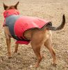 Lightening-Shield Waterproof 2-in-1 Convertible Dog Jacket w/ Blackshark technology