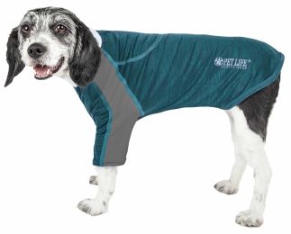 Active 'Chewitt Wagassy' 4-Way Stretch Performance Long Sleeve Dog T-Shirt (Color: Teal, Size: Small)