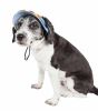 Colorfur' Uv Protectant Adjustable Fashion Canopy Brimmed Dog Hat Cap