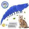 Lobster Shape Cat Toothbrush Interactive Chewing Catnip Toy Dental Care for Kitten Teeth Cleaning Leaky Food Device Natural Rubber Bite Resistance