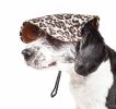 Cheetah Bonita' Cheetah Patterned Uv Protectant Adjustable Fashion Dog Hat Cap