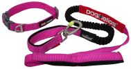 Neo-Indestructible Easy-Tension Sporty Embroidered Thick Durable Pet Dog Leash And Collar