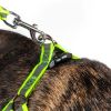Reflective Stitched Easy Tension Adjustable 2-in-1 Dog Leash and Harness