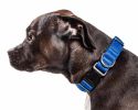 Aero Mesh' 360 Degree Dual Sided Comfortable And Breathable Adjustable Mesh Dog Collar