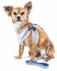 Luxe 'Spawling' 2-In-1 Mesh Reversed Adjustable Dog Harness-Leash W/ Fashion Bowtie