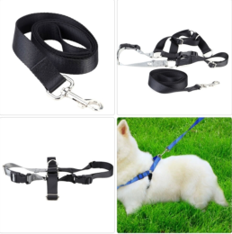 Pet Dog Nylon Adjustable Training Lead Dogs Harness Walking / Running Traction Belt Leash Strap Rope (Color: Black, Size: Small)