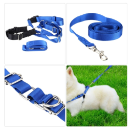 Pet Dog Nylon Adjustable Training Lead Dogs Harness Walking / Running Traction Belt Leash Strap Rope (Color: Blue, Size: Small)