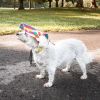 Colorfur' Floral Uv Protectant Adjustable Fashion Dog Hat Cap