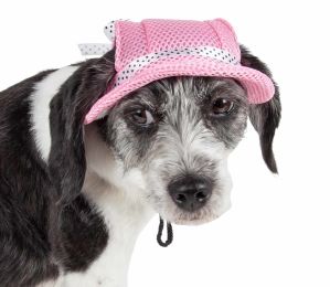 Sea Spot Sun' Uv Protectant Adjustable Fashion Mesh Brimmed Dog Hat Cap (Color: Pink, Size: Large)