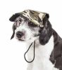 Torrential Downfour' Camouflage Uv Protectant Adjustable Fashion Dog Hat Cap