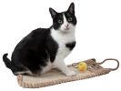Eco-Natural Sisal And Jute Hanging Carpet Kitty Cat Scratcher Lounge With Toy