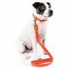 Aero Mesh' 2-In-1 Dual Sided Comfortable And Breathable Adjustable Mesh Dog Leash-Collar