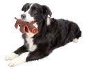 Animal Dura-Chew Reinforce Stitched Durable Water Resistant Plush Chew Tugging Dog Toy
