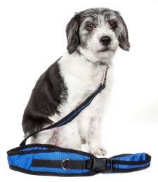 Echelon Hands Free And Convertible 2-In-1 Training Dog Leash And Pet Belt With Pouch (Color: Blue)