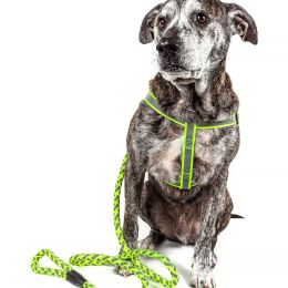 Reflective Stitched Easy Tension Adjustable 2-in-1 Dog Leash and Harness (Color: Green, Size: Small)