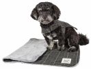 2-In-1 Windowpane Plaided Dog Jacket With Matching Reversible Dog Mat
