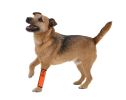 Extreme-Neoprene Joint Protective Reflective Pet Sleeves