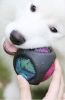 Pet Rubber Bouncing Toy Dog Chew Toy Light up Ball Squeaky Toy, Bite Resistant Irregular Shape Toy