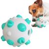 Pet Dog Toy Interactive Chew Toy Non Toxic Bite Resistant Rubber Ball