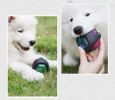 Pet Rubber Bouncing Toy Dog Chew Toy Light up Ball Squeaky Toy, Bite Resistant Irregular Shape Toy